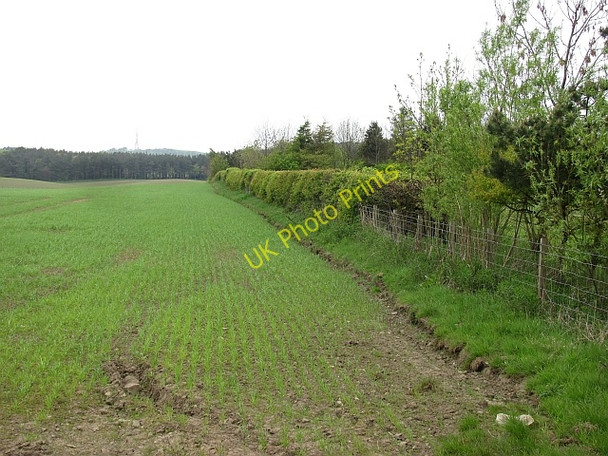 Photo 6"x4" Spring cereals, South Mains Wester Dechmont c2011