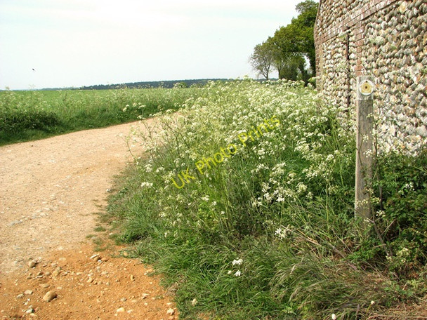 Photo 6"x4" Track and footpath to Edgefield Woods Holt\/TG0838 c2011