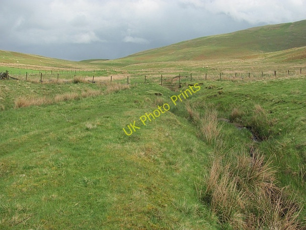 Photo 6"x4" Back Burn Kaimrig End c2011