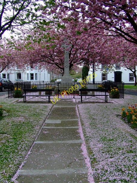 Photo 6"x4" Lochwinnoch War Memorial Lochwinnoch c2011 P1