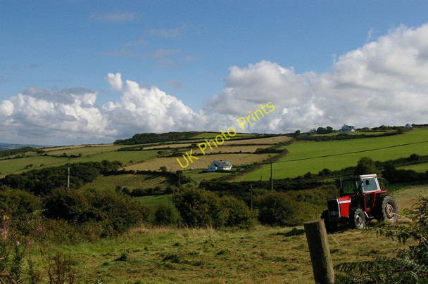 Photo 6"x4" Turning grass, on Cemaes Head Penrhyn Castle\/SN1449 c2010