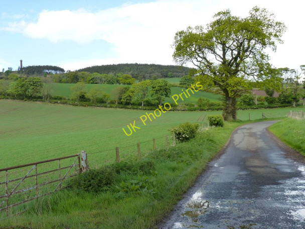 Photo 6"x4" Bend in the road Fernie\/NO3115 c2011