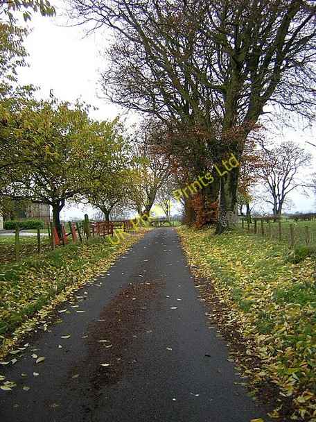 Photo 6"x4" Minor Road Near Laigh Cleughearn Auldhouse c2006