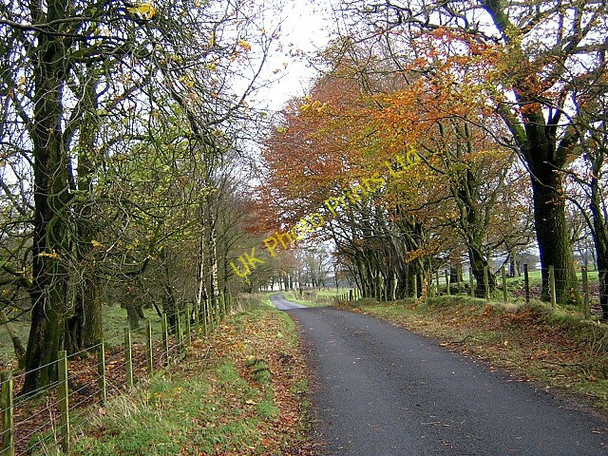 Photo 6"x4" Minor Road Near Skeoch Farm Auldhouse c2006