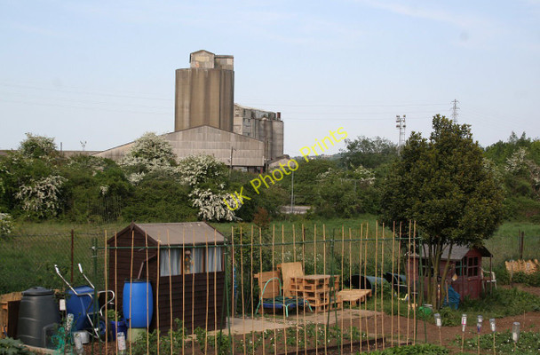 Photo 6"x4" Allotments at Halling Halling c2011