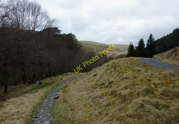 Photo 6"x4" Footpath to the chapel, Soar-y-Mynydd, Ceredigion Soar y Mynydd c2011