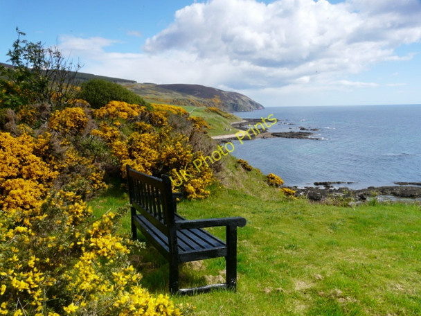 Photo 6"x4" Cliff-top seat at Navidale House Hotel East Helmsdale c2011