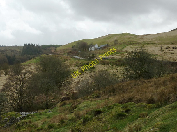 Photo 6"x4" Rough grazing east of Bryn Mawr, Ceredigion Bryn Mawr\/SN7953 c2011