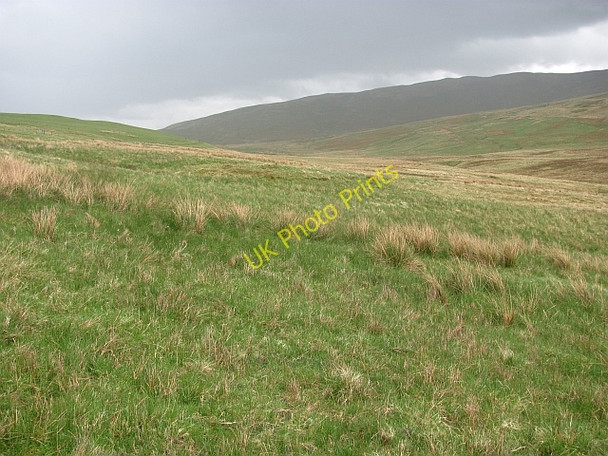 Photo 6"x4" The Back Burn Kaimrig End c2011