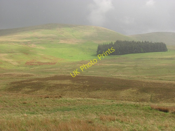 Photo 6"x4" The Back Burn Kaimrig End c2011