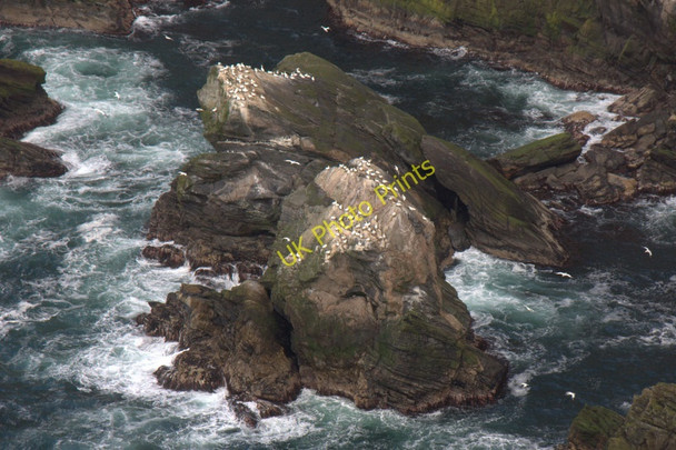Photo 6"x4" Small stacks below the Neap, Hermaness Burrafirth c2011