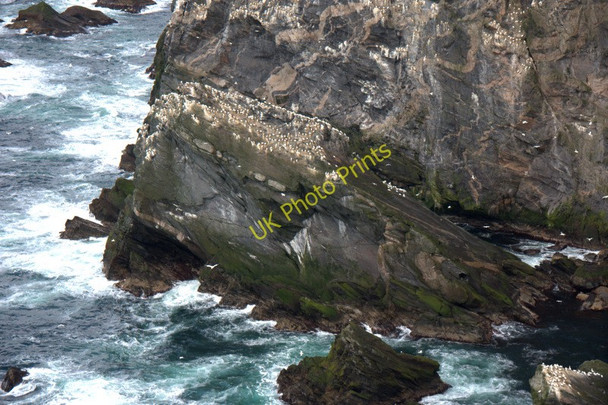 Photo 6"x4" Neapna Stack, Hermaness Burrafirth c2011