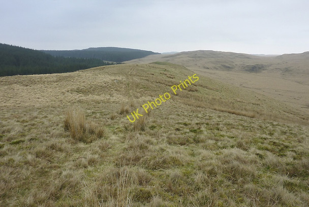 Photo 6"x4" Esgair Wynt, Ceredigion Ochr Fawr c2011