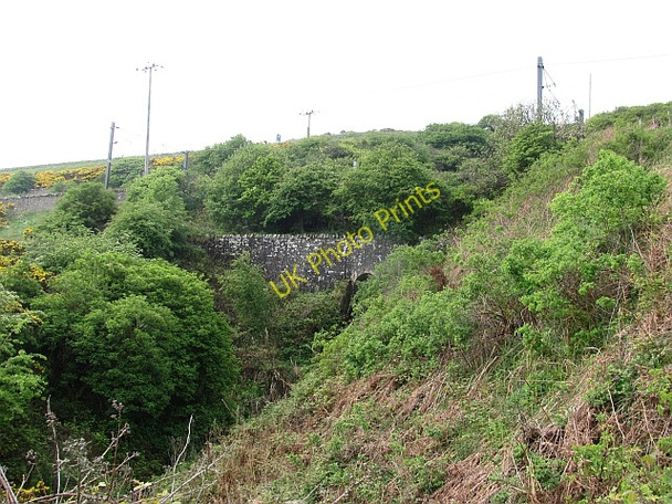 Photo 6"x4" Burn above Cowdrait Burnmouth\/NT9561 c2011