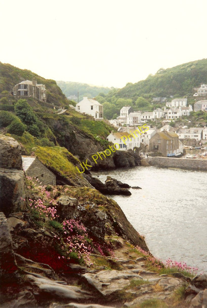 Photo 6"x4" Sea Thrift at Polperro Brent c1991
