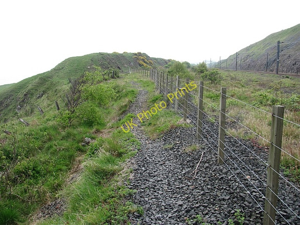Photo 6"x4" Berwickshire Coast Path Ross\/NT9660 c2011