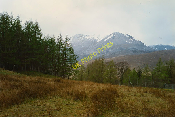 Photo 6"x4" Forestry outside Kinlochewe Incheril c1993