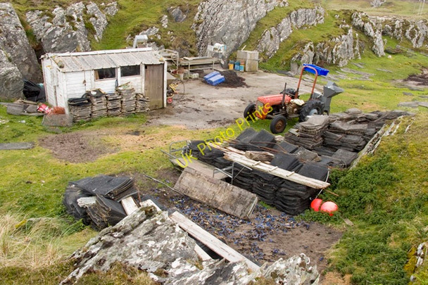 Photo 6"x4" Oyster Farm on Rubha Bagh nan Capull Garvard c2011