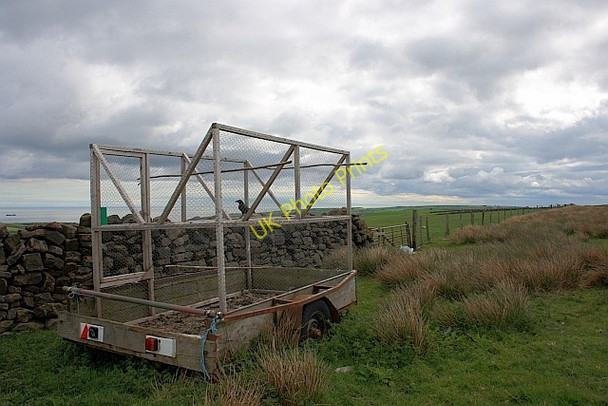 Photo 6"x4" Ladder Trap Borrowby\/NZ7715 c2011