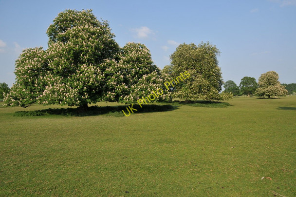 Photo 6"x4" Parkland at Down Ampney Down Ampney c2011