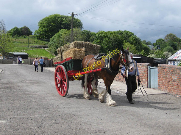 Photo 6"x4" Hay delivery, Beamish Open Air Museum Stanley\/NZ1952 c2011