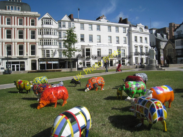 Photo 6"x4" The Flock, Exeter Cathedral Close Exeter c2011