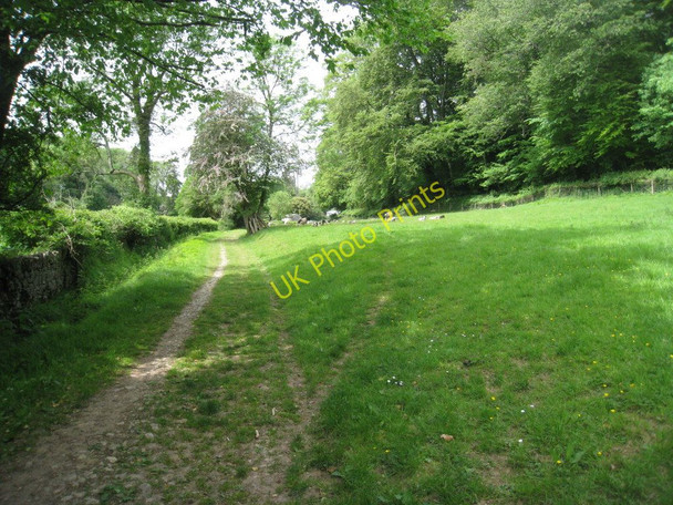 Photo 6"x4" The path to Torbryan Wotton Cross\/SX8069 c2011