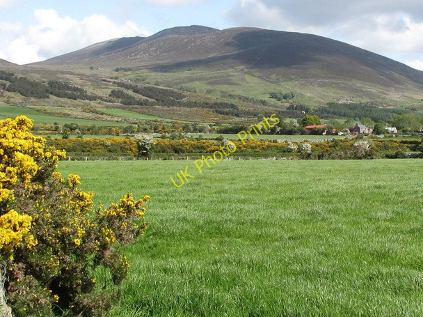 Photo 6"x4" Cultivated grassland on the south-eastern flank of the Mourne Mountain Annalong c2011
