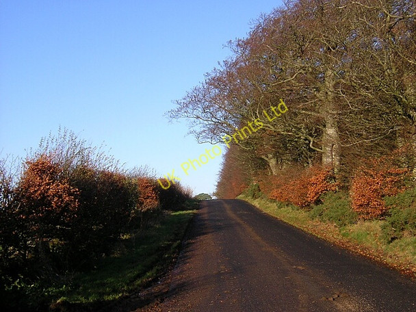 Photo 6"x4" Kirkfieldbank Road Sandilands\/NS8938 c2006