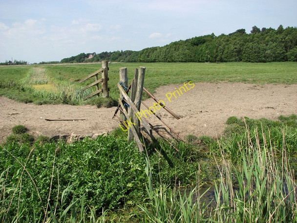 Photo 6"x4" Marsh gate below Herringfleet Hills Herringfleet c2011