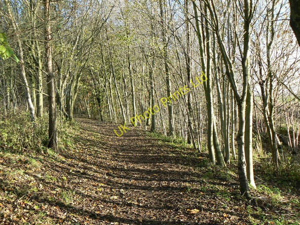 Photo 6"x4" Beside Lochty Burn Stenton\/NT2798 c2006