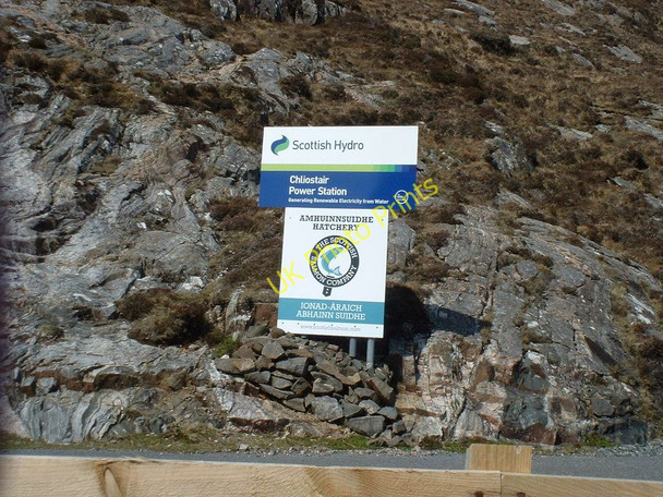 Photo 6"x4" Signs of life in an isolated area Amhainn Suidhe c2011