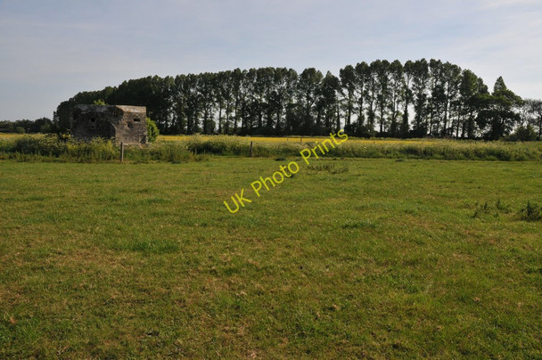 Photo 6"x4" Thames meadowland near Buscot Lechlade on Thames c2011
