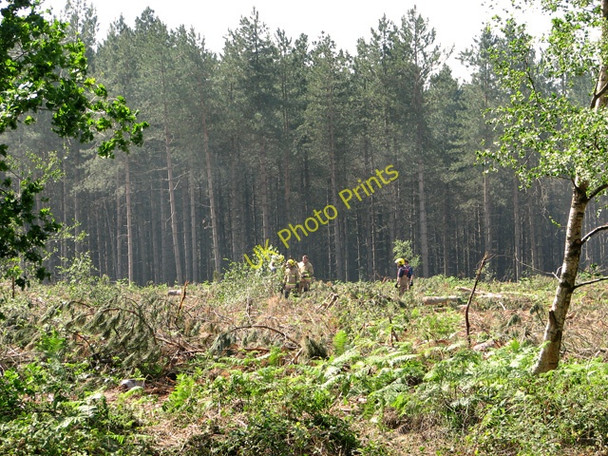Photo 6"x4" Fire fighters in Fritton Wood Fritton\/TG4600 c2011
