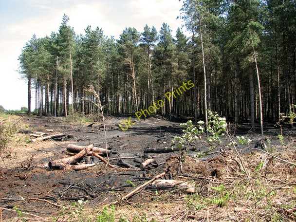 Photo 6"x4" Fire in Fritton Wood Fritton\/TG4600 c2011