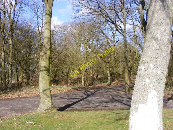 Photo 6"x4" Hill Fort View Ebreywood c2011