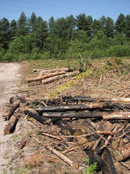 Photo 6"x4" Fire in Fritton Wood Fritton\/TG4600 c2011