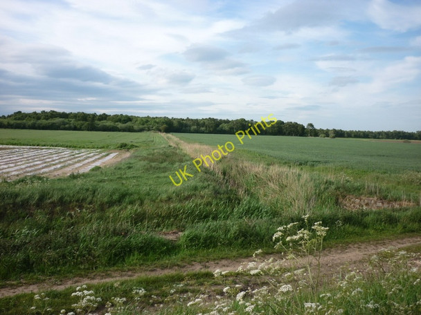 Photo 6"x4" Looking north from the River Torne Woodside\/SE7103 c2011
