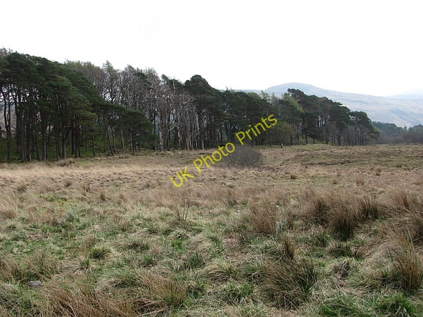 Photo 6"x4" Kame, Glen Forsa Salen c2011