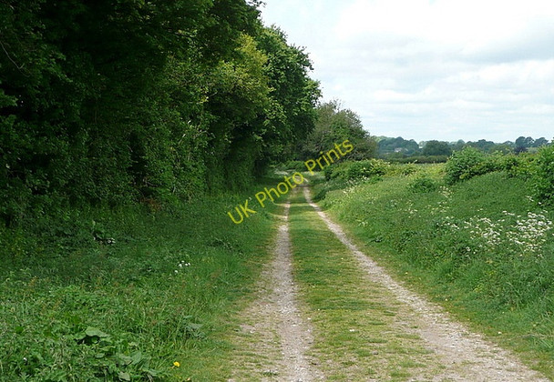 Photo 6"x4" Cheriton Lane Cheriton\/SU5828 c2011