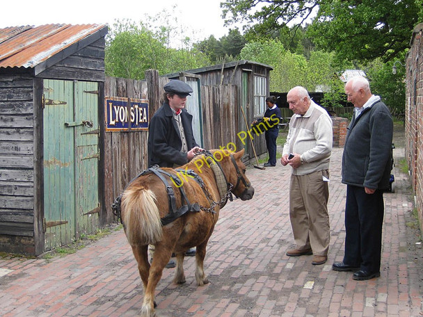 Photo 6"x4" Pit pony, Beamish Stanley\/NZ1952 c2011