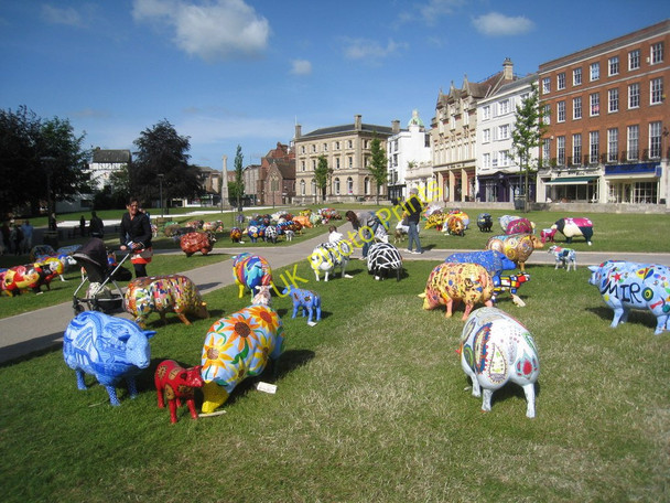 Photo 6"x4" The Flock (2), Exeter Cathedral Close Exeter c2011