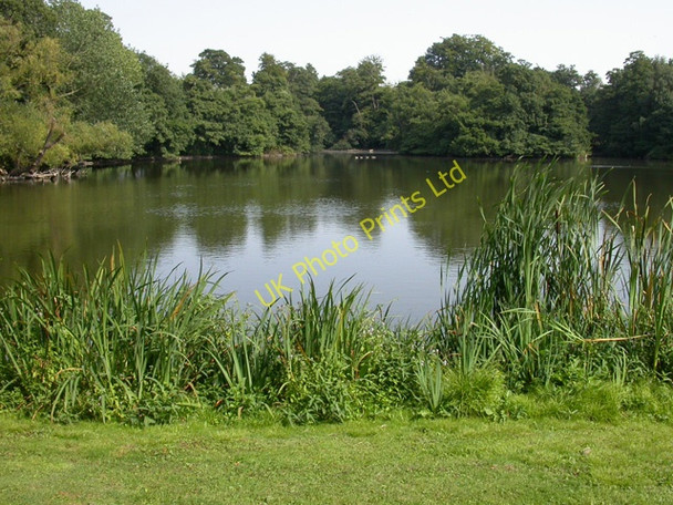 Photo 6"x4" Boathouse Pond Belton\/SK9239 c2005
