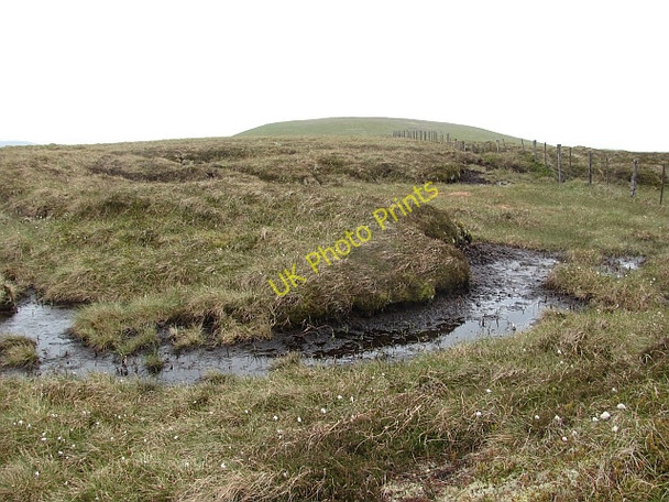 Photo 6"x4" Summit ridge, Windlestraw Law Bareback Knowe c2011