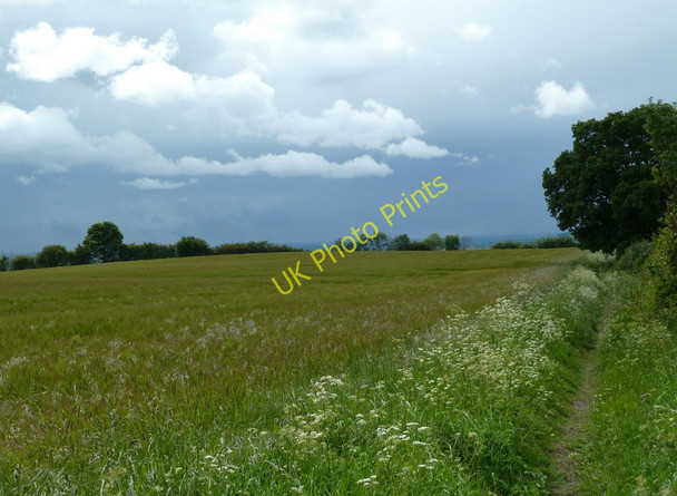 Photo 6"x4" Large field and footpath west of Grange Farm Staveley\/SK4374 c2011
