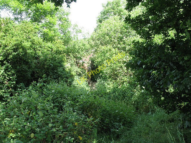 Photo 6"x4" Overgrown footpath Waltham Abbey c2011