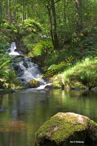 Photo 6"x4" Kenick Burn Laurieston\/NX6864 c2004