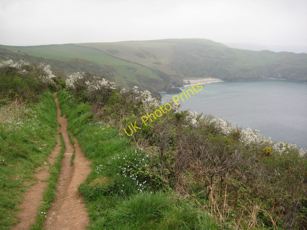 Photo 6"x4" Coast path approaching Lantic Bay Fowey c2011