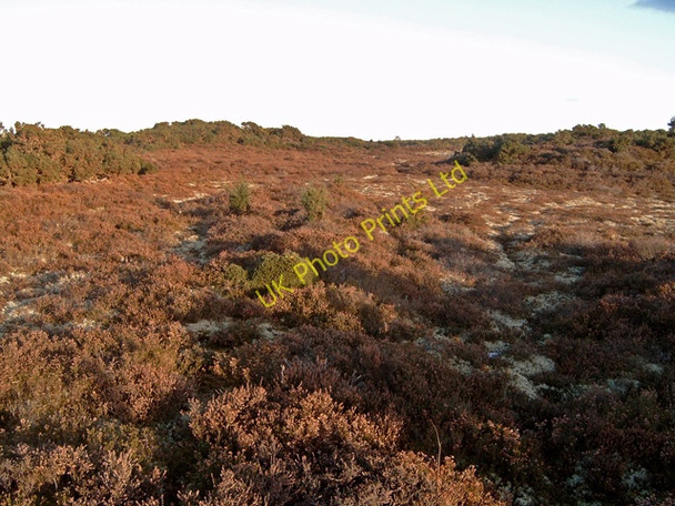 Photo 6"x4" Moorland near Cuthill Clashmore\/NH7489 c2006