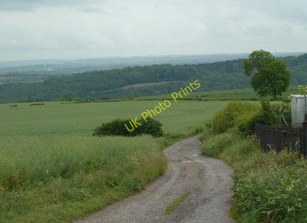 Photo 6"x4" Downhill track to Plumbley Moorhole c2011